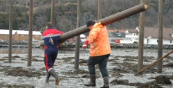 20100331-250-sorbo006