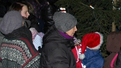 20101128-250-julegran004