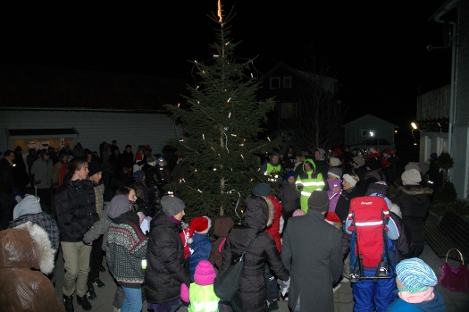 20101128-525-julegran004