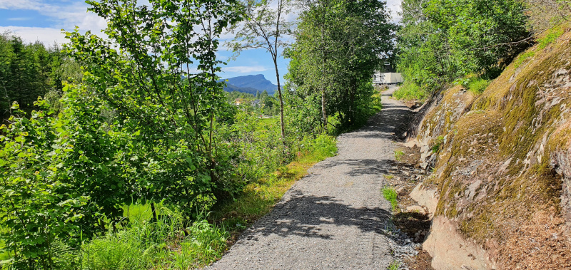 20210625 800 kvalvikdalen