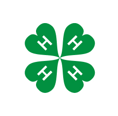 Klover_355