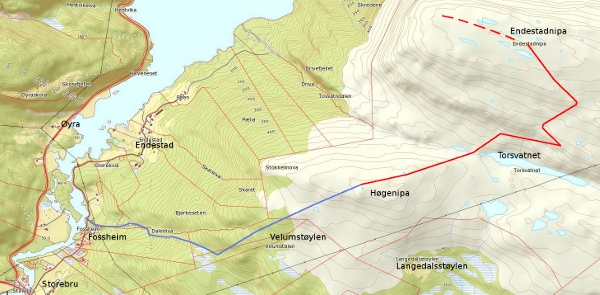 Kart Endestadnipa-600