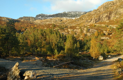 200901017-400-kvalvikst010