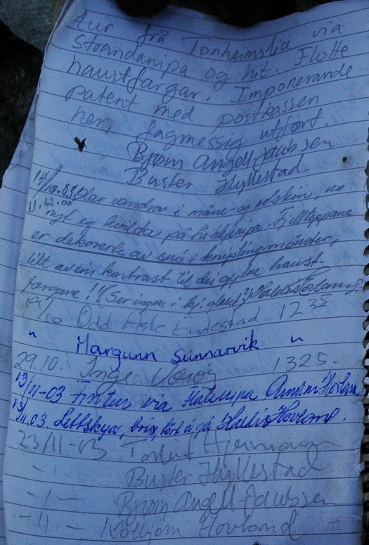 2003-Litlenipa03