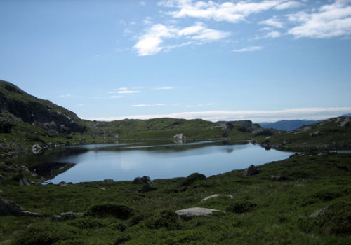 nipevatnet2006-kveld