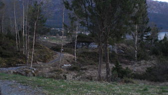 cimg0215_opt