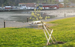 20090429-250-herverk-001