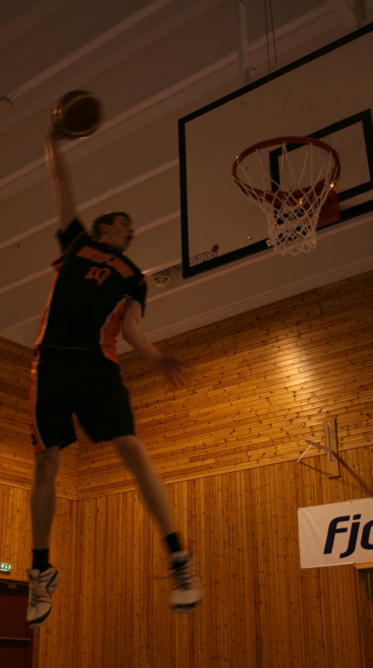 Sondre dunk-525